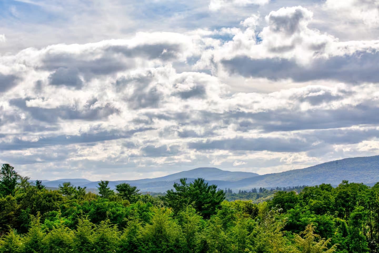 Layered green treetops giving way to distant blue mountains